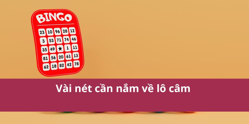 Vài nét cần nắm về lô câm 