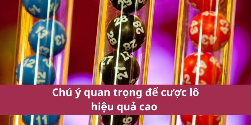Chú ý quan trọng để cược lô hiệu quả cao 