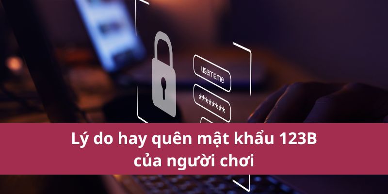 Quên Mật Khẩu 123b Khôi Phục Nhanh Chóng Và Dễ Dàng